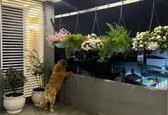 Bán nhà 5 tầng, 4x20m mặt tiền ngay chùa Hoằng Pháp, Hóc Môn, 6,2 tỷ... Bán nhà mặt phố tại Hóc Môn, Hồ Chí Minh 02