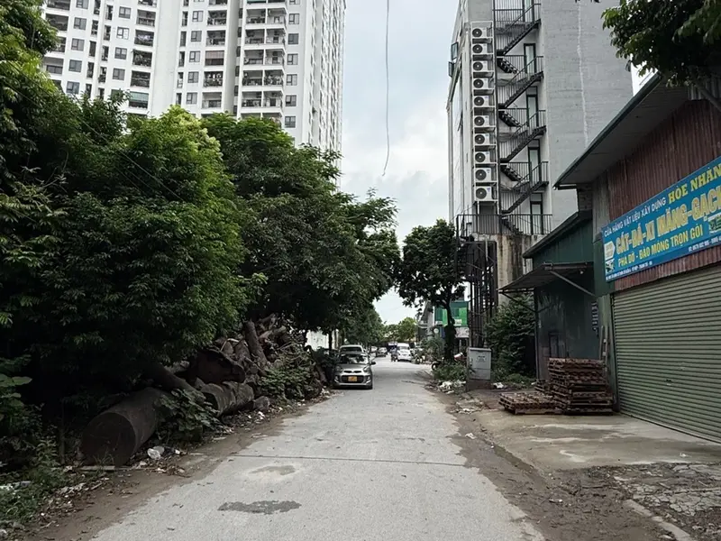 Đất phân lô ô tô tránh, view vườn hoa cực đẹp... Bán đất tại Thanh Trì, Hà Nội 01