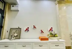 Nhà VIP Quận 10, 4 Tầng Có Thang Máy, Giao Thông Thuận Tiện... Bán nhà riêng tại Hòa Hưng, Hồ Chí Minh 04