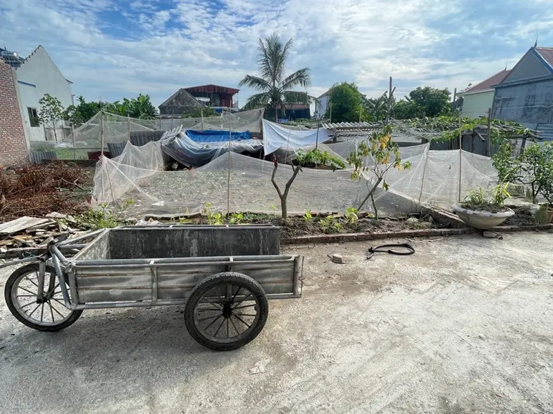 Cơ hội hiếm có sở hữu lô đất đẹp Kim Châm, An Khánh giá chỉ hơn 6XX triệu... Bán đất tại An Khánh, Hải Phòng 01