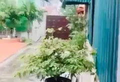 Kho xưởng 2 tầng rộng 730m2 tại Thái Bảo, Gia Bình - Cơ hội đầu tư vàng... Bán kho, nhà xưởng tại Nhân Thắng, Bắc Ninh 03