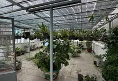 Nhà riêng 3 tầng diện tích 136m2 tại quận 6, hẻm xe tải an ninh cao... Bán nhà riêng tại Phú Lâm, Hồ Chí Minh 10
