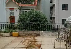 Bán nhà riêng 3 tầng mặt tiền 9m tại Phường 10, Quận Phú Nhuận, diện tích 199.6 m² giá 48 tỷ... Bán nhà riêng tại Phú Nhuận, Hồ Chí Minh 02