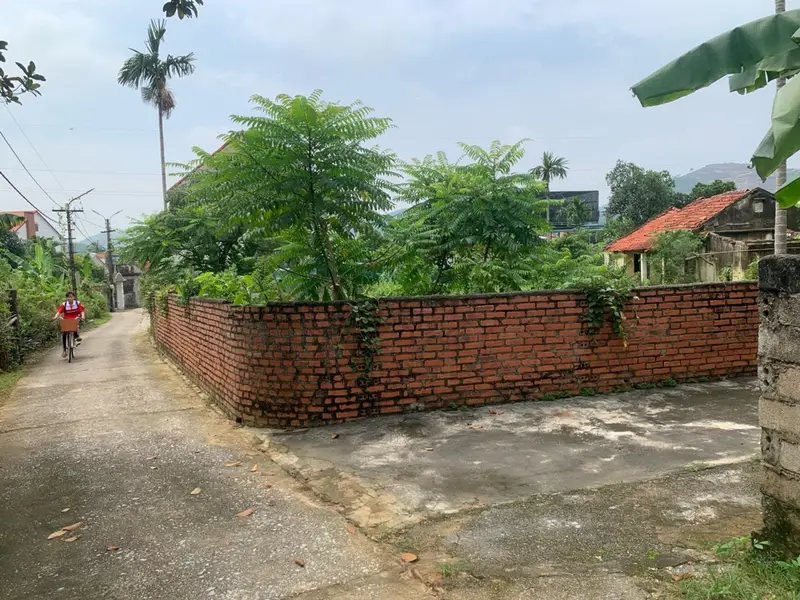 Bán đất ô góc 254,9m² tại xã Việt Hưng, pháp lý rõ ràng, giá 2,55 tỷ... Bán đất tại Việt Hưng, Quảng Ninh 01