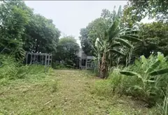 Đất Vườn Lớn Gần Bệnh Viện Nhi Đồng 3 - Cơ Hội Vàng Đầu Tư... Bán đất tại Tân Nhựt, Hồ Chí Minh 15