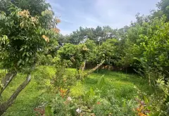 Biệt Thự Sân Vườn Có Hồ Bơi Tại Khu Nghỉ Dưỡng Lâm Trường - Trung Giã - Sóc Sơn... Bán nhà riêng tại Kim Anh, Hà Nội 11