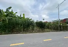Đất Thổ Cư Trung Tâm Hoa Động Thuỷ Nguyên Mặt Tiền Rộng, Ngõ Thông Ô Tô Tránh... Bán đất tại Thủy Nguyên, Hải Phòng 02