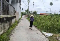 Bán nhà riêng 1 tầng hướng Đông Nam tại xã Thiên Hương, Thủy Nguyên, Hải Phòng, diện tích 420 m²... Bán nhà riêng tại Thiên Hương, Hải Phòng 05