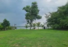 🌟 Đất Vàng Ven Sông - Cơ Hội Đầu Tư Hiếm Có! 🌊... Bán đất tại Long Phước, Hồ Chí Minh 05
