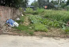Đất hiếm thôn Lập Trí, Kim Anh, mặt tiền 4.2m giá mềm... Bán đất tại Kim Anh, Hà Nội 06