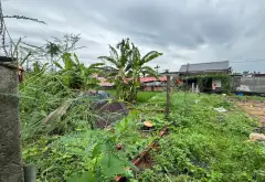 Cơ Hội Sở Hữu Lô Đất Vàng Gần Ngã Tư Chợ Gà Gáy... Bán đất tại Tân Minh, Hải Phòng 10
