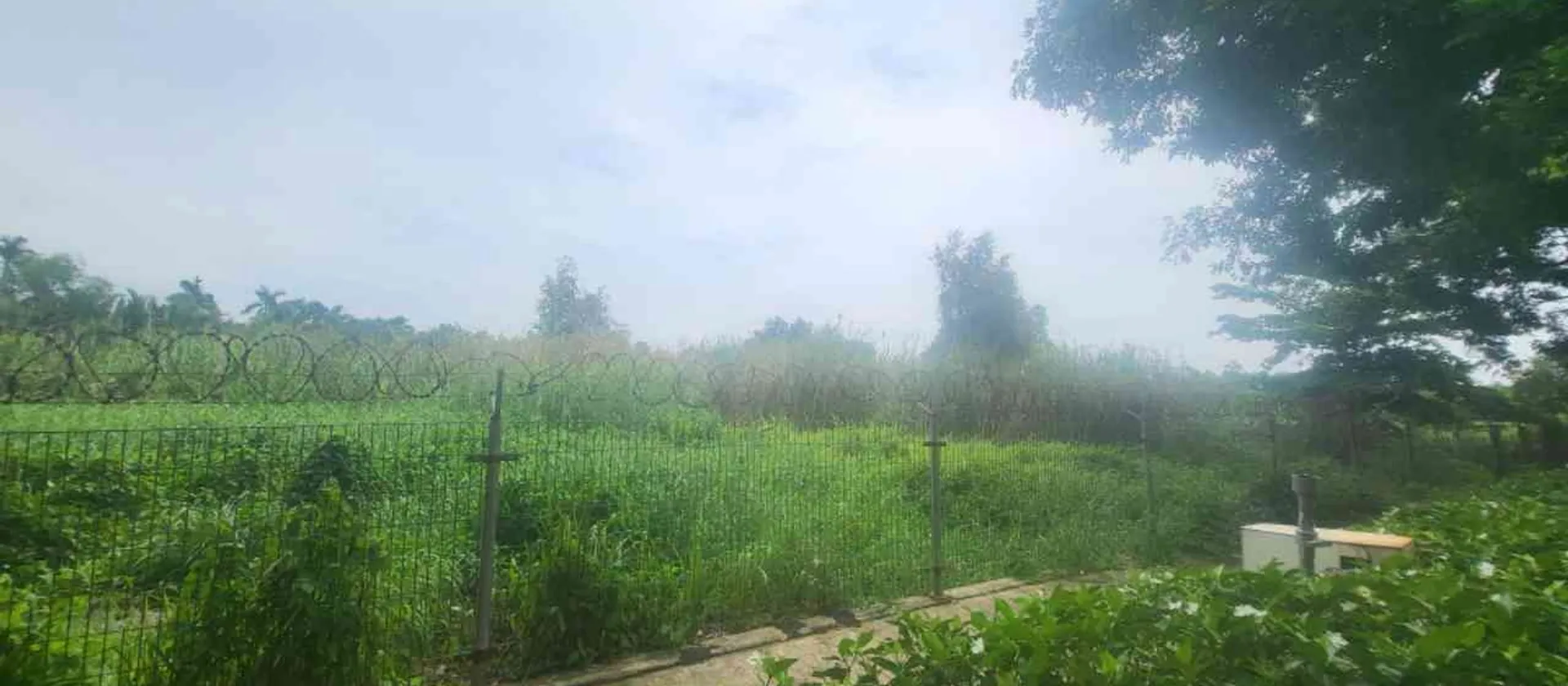 Bán đất xã Nhơn Đức, huyện Nhà Bè, gần khu đô thị The Star Village, diện tích lớn 3616.5m²... Bán đất tại Hiệp Phước, Hồ Chí Minh 01