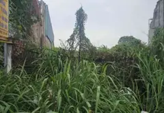 Bán kho, nhà xưởng mặt tiền rộng tại xã Đông Thạnh, Hóc Môn với doanh thu ổn định... Bán kho, nhà xưởng tại Đông Thạnh, Hồ Chí Minh 03