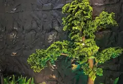 Nhà 5 tầng thiết kế sang trọng tại khu đô thị tái định cư A51... Bán nhà riêng tại An Biên, Hải Phòng 14