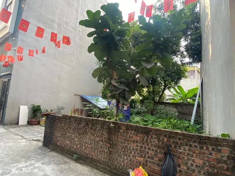 Bán đất phường Phúc Lợi, Hà Nội mặt tiền rộng ô tô ra vào thuận tiện... Bán đất tại Phúc Lợi, Hà Nội 01