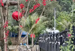 Bán Khu Du Lịch Sinh Thái Đang Hoạt Động Tại Đà Nẵng.... Bán đất tại Hòa Vang, Đà Nẵng 06