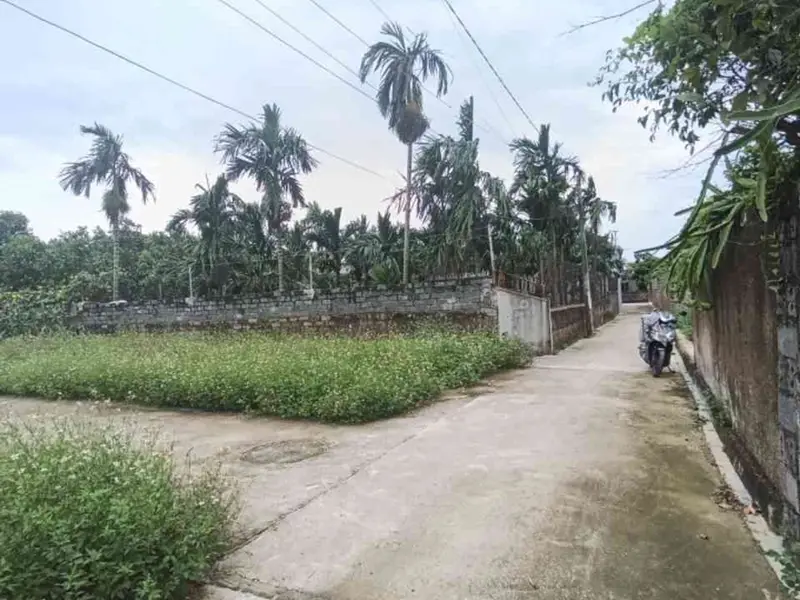 Cơ Hội Vàng Sở Hữu Đất Đẹp Kỳ Sơn Việt Khê, Thủy Nguyên... Bán đất tại Lê Ích Mộc, Hải Phòng 01