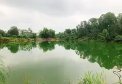 🔆Bán đất Tiên Dược lô góc 2 mặt thoáng - Sóc Sơn 100m2 đất ở - ô tô 7 chỗ chạy quanh... Bán đất tại Sóc Sơn, Hà Nội 02