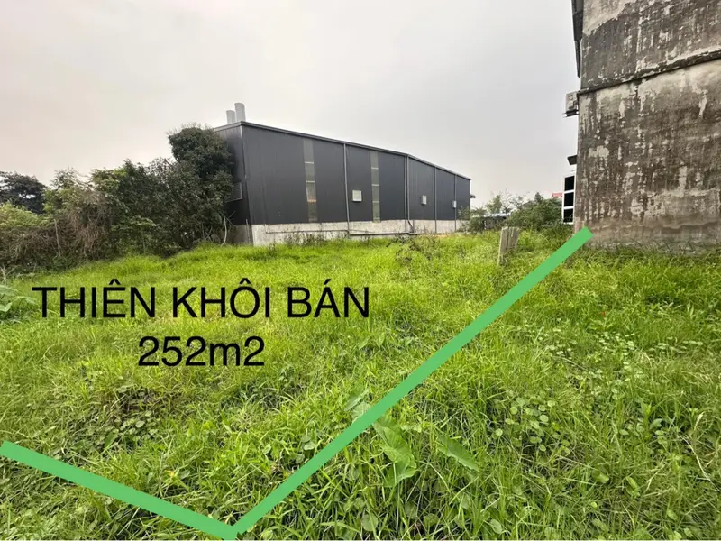 Bán đất diện tích lớn tại Dược Hạ, Tiên Dược, Sóc Sơn... Bán đất tại Sóc Sơn, Hà Nội 01
