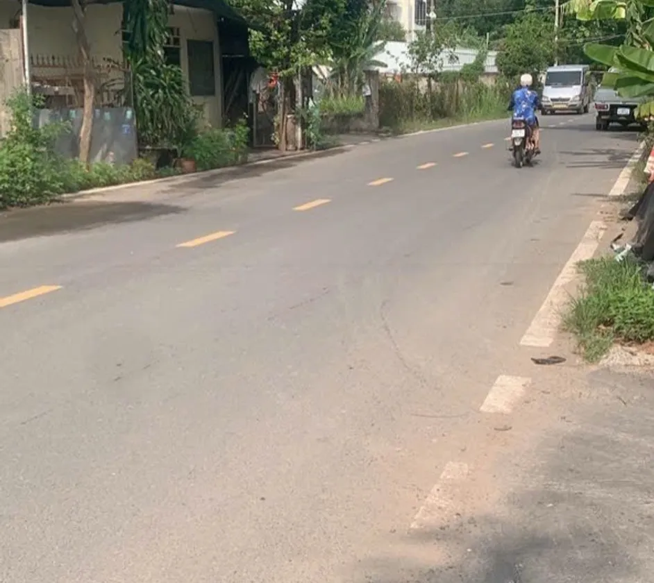 Bán đất vườn 1000m2 phường Long Trường, gần mặt tiền đường Tam Đa... Bán đất tại Long Trường, Hồ Chí Minh 01