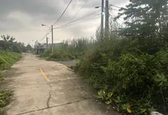 Siêu phẩm nhà đất 2.488m2 giá siêu tốt tại Long Phước Quận 9... Bán nhà riêng tại Long Phước, Hồ Chí Minh 07