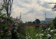 Mua Bán đất phường Tân Đông Hiệp diện tích 148.8 m², hướng Đông Bắc, giá 3.95 tỷ TL... Bán đất tại Tân Đông Hiệp, Hồ Chí Minh 02