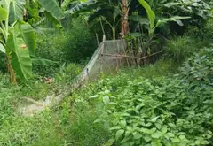 Bán đất 100m2 mặt ngõ ôtô xã Minh Tân, Kiến Thụy, giá 1.3 tỷ đồng... Bán đất tại Kiến Thụy, Hải Phòng 01