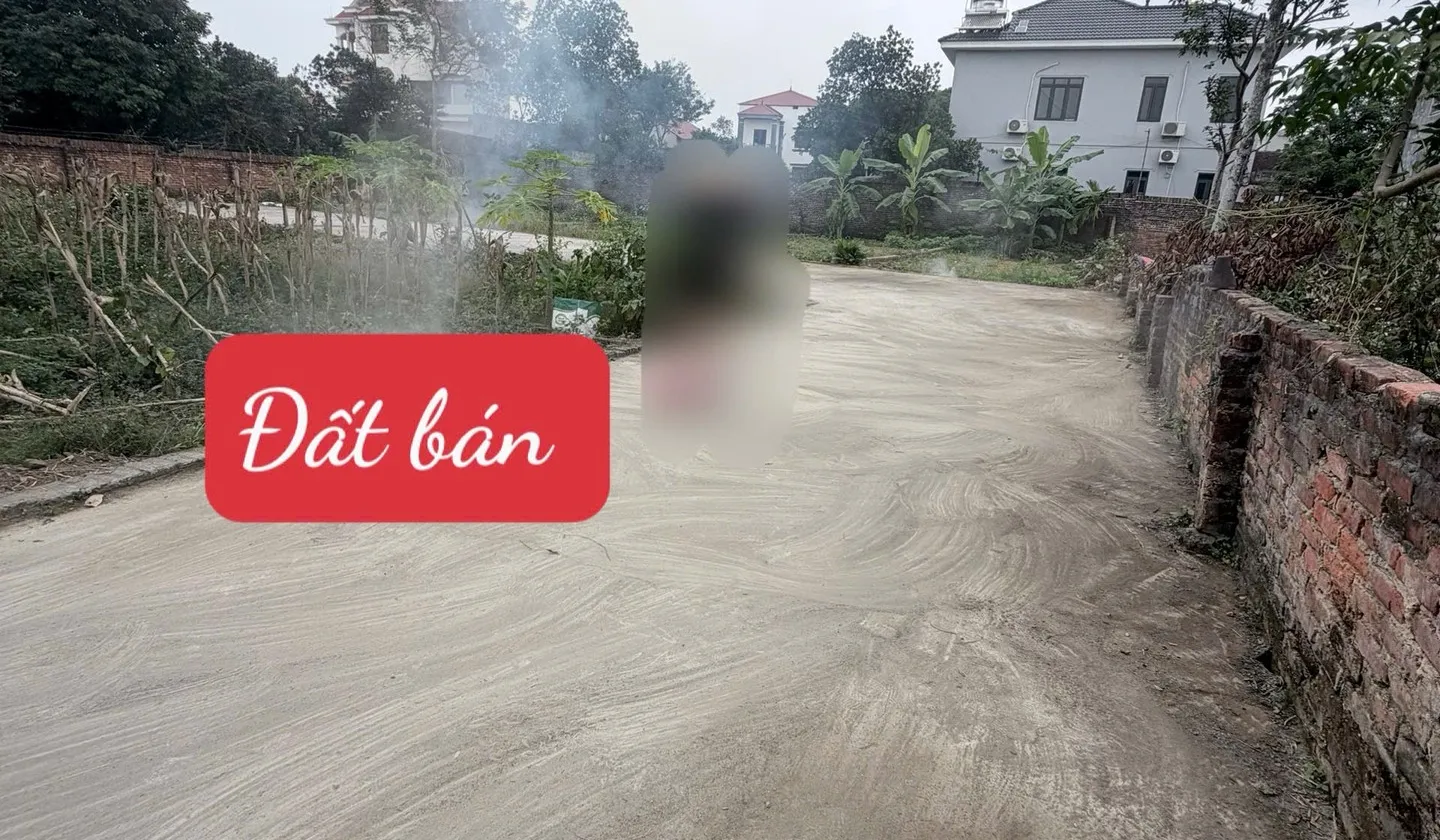Cơ hội hiếm có sở hữu đất thổ cư 80m2 tại khu vực sầm uất với giá tốt... Bán đất tại Sóc Sơn, Hà Nội 01