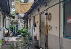 Dãy Trọ Gần Chợ Thạch Đà, 7 phòng ngủ gần Chung cư Dream Home... Bán nhà riêng tại An Hội Tây, Hồ Chí Minh 05