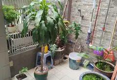 Bán nhà mặt phố phường Cầu Ông Lãnh - Sống tiện nghi, đẹp hiện đại... Bán nhà mặt phố tại Cầu Ông Lãnh, Hồ Chí Minh 16