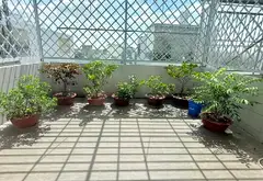 Cơ hội vàng sở hữu nhà phố 4 tầng rộng rãi ngay khu vực Nhà Bè với giá cực hấp dẫn... Bán nhà riêng tại Nhà Bè, Hồ Chí Minh 01