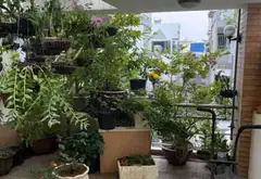 HXH LẠC LONG QUÂN - GẦN CHỢ ÔNG HOÀNG... Bán nhà riêng tại Tân Hòa, Hồ Chí Minh 08