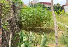 Bán đất 68m² mặt tiền 4,5m tại xã Lương Bằng, Hưng Yên... Bán đất tại Lương Bằng, Hưng Yên 02
