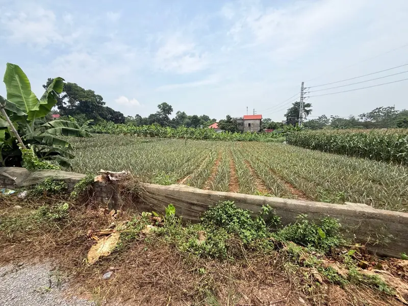 Bán đất lô góc 3 mặt đường Quốc lộ 413, Bất Bạt, Ba Vì, Hà Nội, mặt tiền 58m... Bán đất tại Bất Bạt, Hà Nội 01