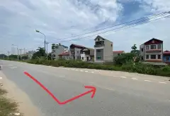 Đất ô tô đỗ cửa, gần Vin Cổ Loa, giá hợp lý... Bán đất tại Đông Anh, Hà Nội 04
