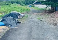BÁN NHÀ HẺM XE TẢI HUỲNH THỊ MÀI TÂN HIỆP HÓC MÔN 103M2 1 TRỆT 1 LỬNG SÂN Ô TÔ GIÁ 2.9 TỶ... Bán nhà riêng tại Hóc Môn, Hồ Chí Minh 04