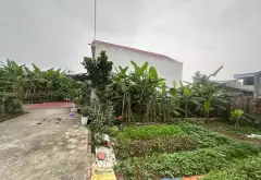 SIÊU PHẨM ĐẦU TƯ LÂU DÀI 60 M TẠI ĐÔNG LAI, NỘI BÀI, HÀ NỘI... Bán đất tại Nội Bài, Hà Nội 03
