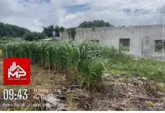 Bán đất nhà vườn rộng 2092m² mặt tiền 52m tại xã Nhuận Đức, Củ Chi... Bán đất tại Củ Chi, Hồ Chí Minh 01