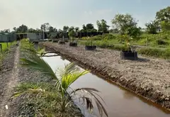 B.á.n đất Hóc Môn, sổ hồng chính chủ, 1583m2, gần chợ, Đại học lao động xã hội…, nhỉnh 5 tỷ... Bán đất tại Đông Thạnh, Hồ Chí Minh 04