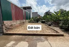 Bán đất lô góc 50.3m2 mặt tiền 5.55m tại khu vực sôi động... Bán đất tại Thư Lâm, Hà Nội 01