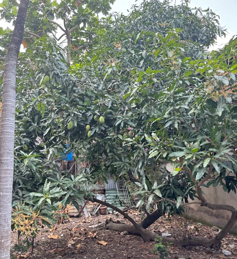 Bán nhà mặt phố QL1A, mặt tiền lớn 20m, tại Quận 12, giá 120 tỷ... Bán nhà mặt phố tại An Phú Đông, Hồ Chí Minh 01