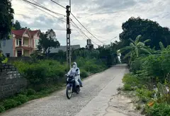 Bán đát thất gian khuyên mại vườn sắn... Bán đất tại Quế Võ, Bắc Ninh 06