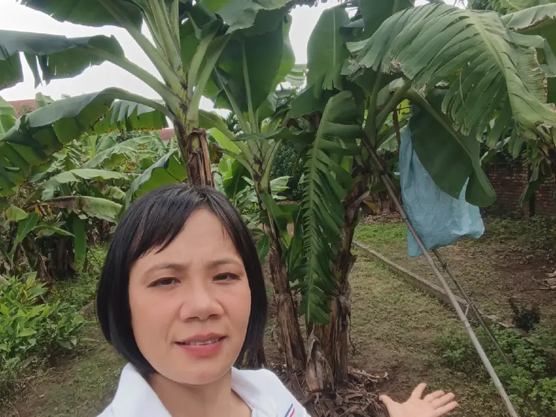 🔥🔥🔥Ngay sát Hà Nội. Chỉ nhỉnh 4tỷ có ngay lô đất 101,5m², Mt: 5m, sổ đỏ cất két, giao dịch ngay... Bán đất tại Văn Giang, Hưng Yên 01