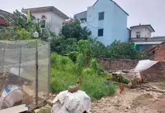 Đất hiếm ô tô qua, vị trí vàng Xóm 1... Bán đất tại Quốc Oai, Hà Nội 04