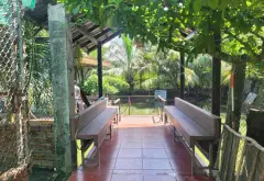 Đất Vườn Mặt Tiền Đường Tân Long Bình Chánh, Rộng 7800m2... Bán đất tại Tân Nhựt, Hồ Chí Minh 10