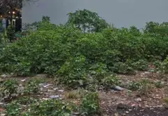 Bán đất mặt tiền 8m khu dân cư Tân Hoà Đông đối diện UBND phường Bình Trị Đông... Bán đất tại Bình Trị Đông, Hồ Chí Minh 05
