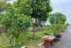 Bán kho xưởng rộng 1123.5m2 tại Bình Lợi giá 7.5 tỷ... Bán kho, nhà xưởng tại Bình Lợi, Hồ Chí Minh 10