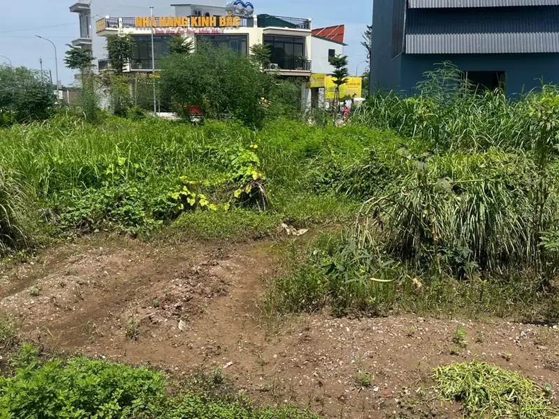 Đất xanh view sông, vị trí vàng tại Đại Đồng, Bắc Ninh... Bán đất tại Đại Đồng, Bắc Ninh 01