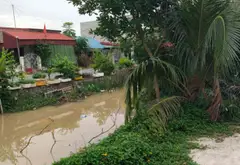 Bán Đất 352m2.
Đỗ mỹ (ấp đòng cũ) Xã Phạm Ngũ Lão Tỉnh Hưng Yên... Bán đất tại Phạm Ngũ Lão, Hưng Yên 07