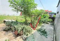 🏡 BÁN ĐẤT TẠI PHƯỜNG TỪ SƠN, BẮC NINH – GIÁ 1,XX tỷ... Bán đất tại Từ Sơn, Bắc Ninh 02